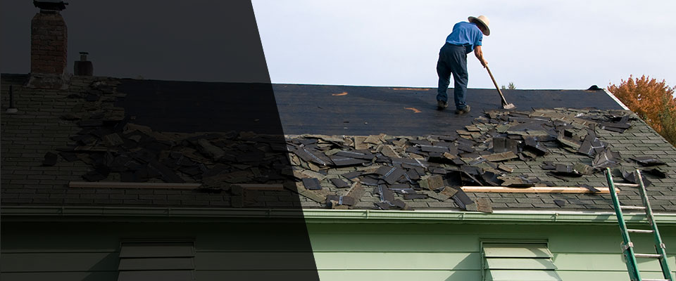 Annandale Roofing Contractors